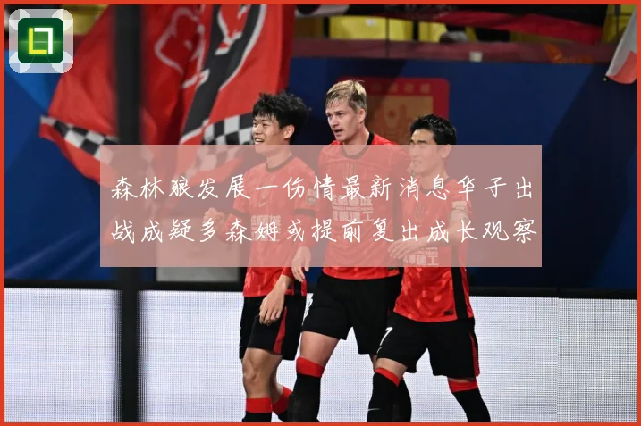森林狼发展一伤情最新消息华子出战成疑多森姆或提前复出成长观察：最新赛事动态与深度分析