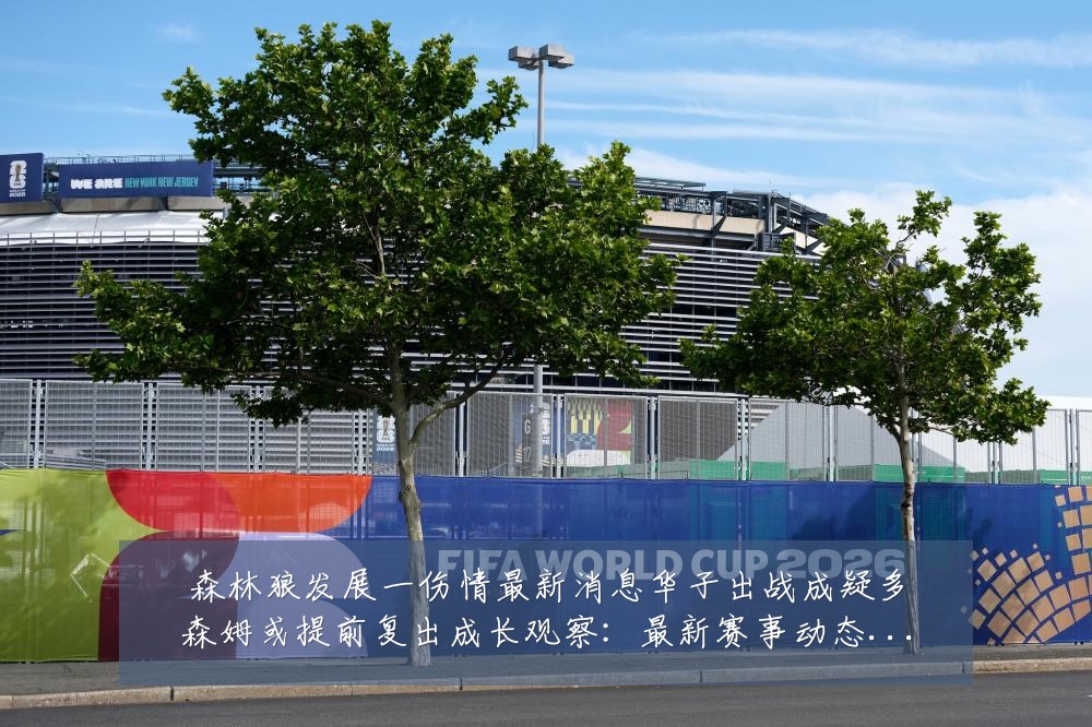 森林狼发展一伤情最新消息华子出战成疑多森姆或提前复出成长观察:最新赛事动态与深度分析